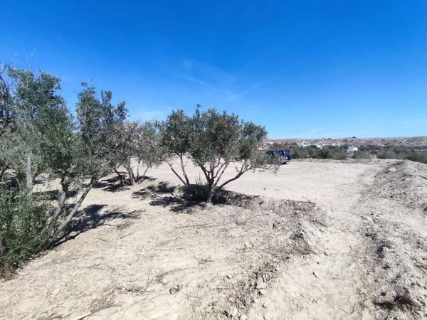 Terreno en calle Adrián Reche s/n Sn