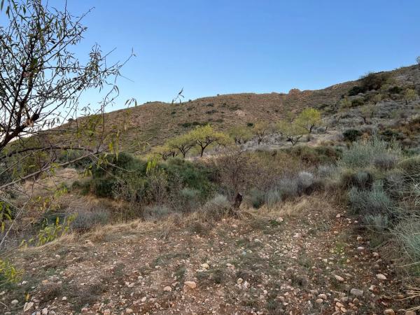 Terreno en Lubrín s/n