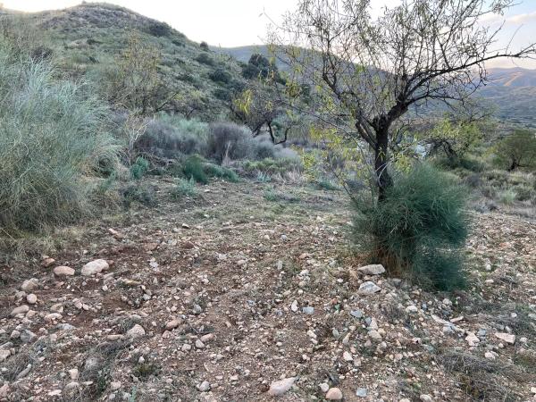 Terreno en Lubrín s/n