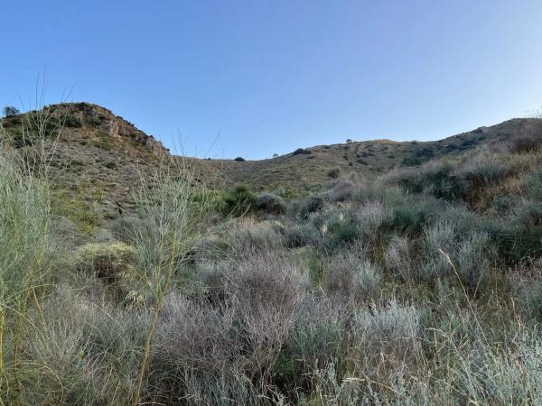 Terreno en Lubrín s/n