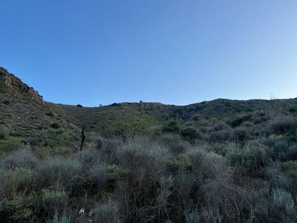 Terreno en Lubrín s/n