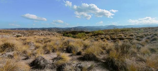 Terreno en via del Almanzora s/n