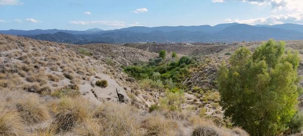 Terreno en via del Almanzora s/n