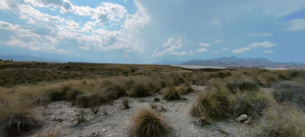 Terreno en via del Almanzora s/n