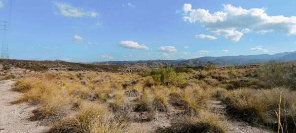 Terreno en via del Almanzora s/n