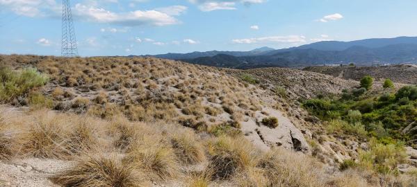 Terreno en via del Almanzora s/n