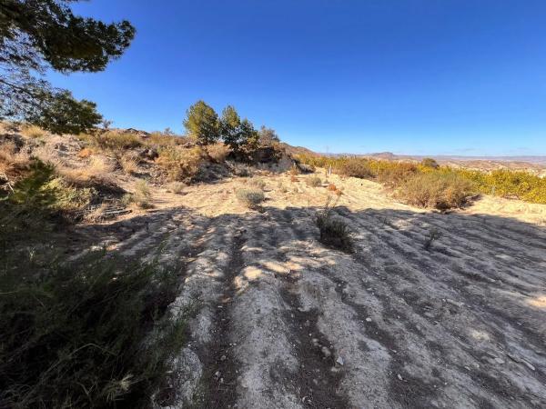 Terreno en via sin nombre, km 0