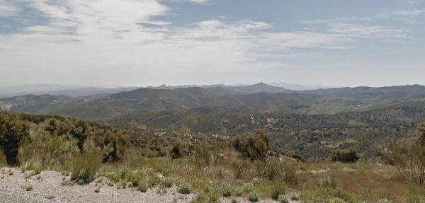 Terreno en calle del medio, 5