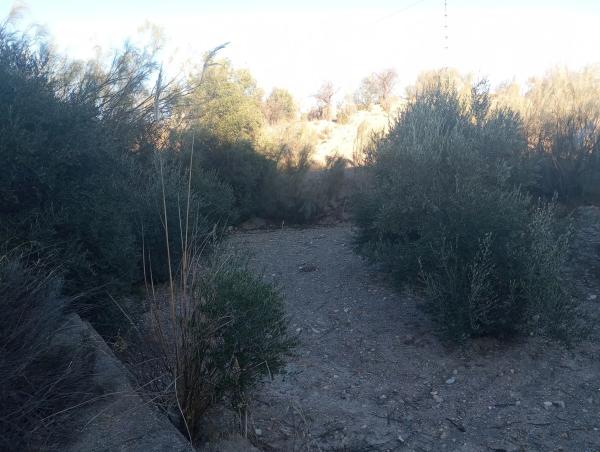 Terreno en Diseminados Graneros Los, km 10