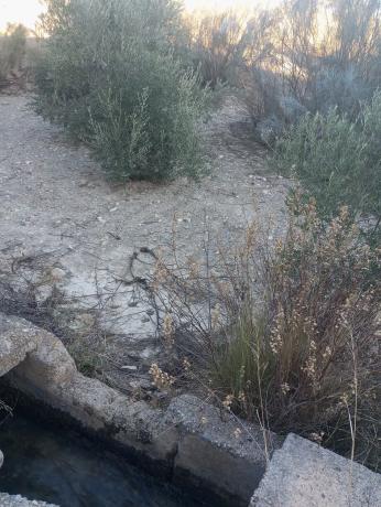 Terreno en Diseminados Graneros Los, km 10