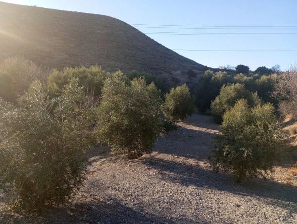 Terreno en Diseminados Graneros Los, km 10