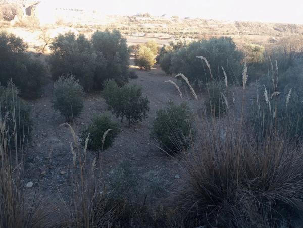 Terreno en Diseminados Graneros Los, km 10