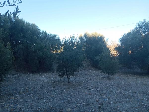 Terreno en Diseminados Graneros Los, km 10