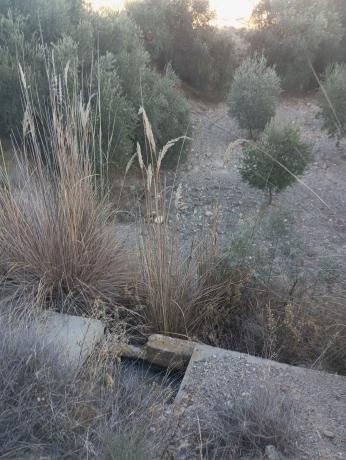 Terreno en Diseminados Graneros Los, km 10