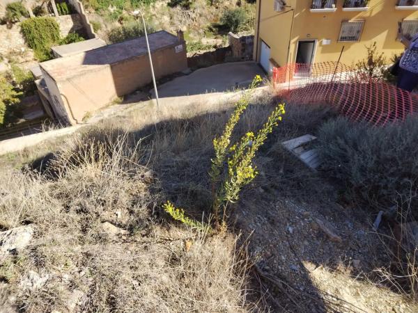 Terreno en calle Juan Jimenez, 28