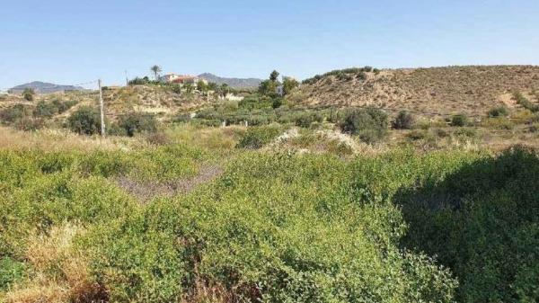 Terreno en calle Velázquez, 35