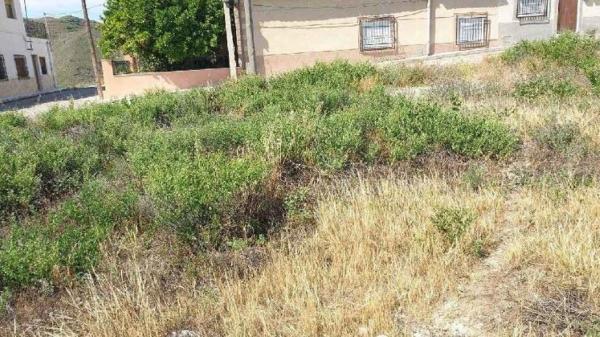 Terreno en calle Velázquez, 35