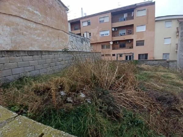 Terreno en calle Velazquez, 12