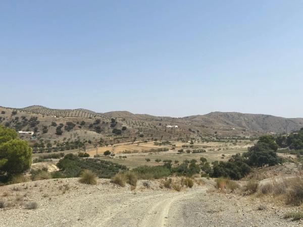 Terreno en Los Pardos s/n sinnumero