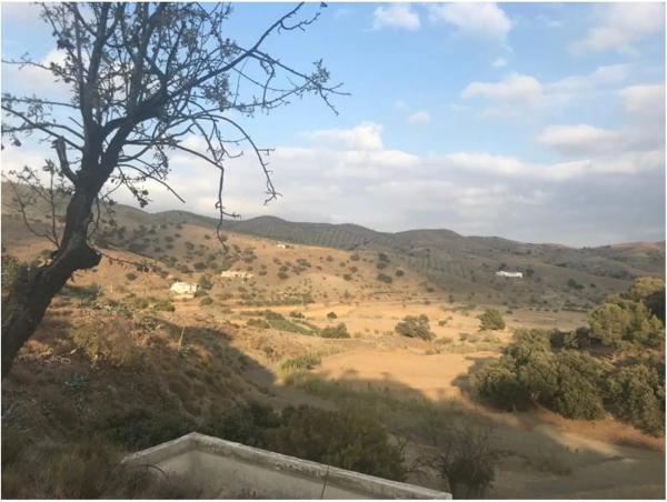 Terreno en Los Pardos s/n sinnumero