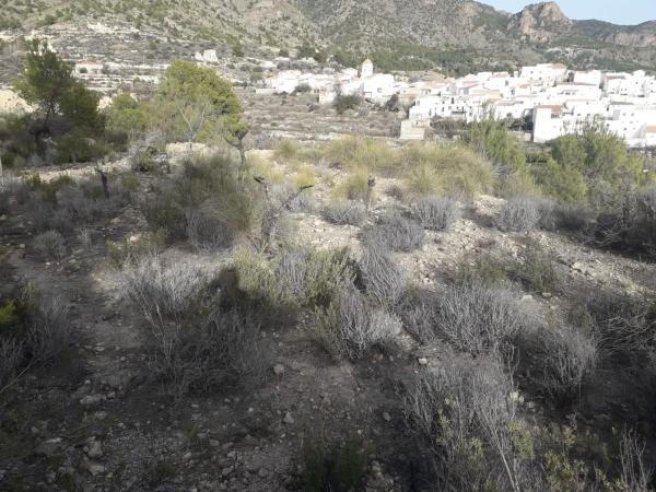 Terreno en Polígono 3, 555