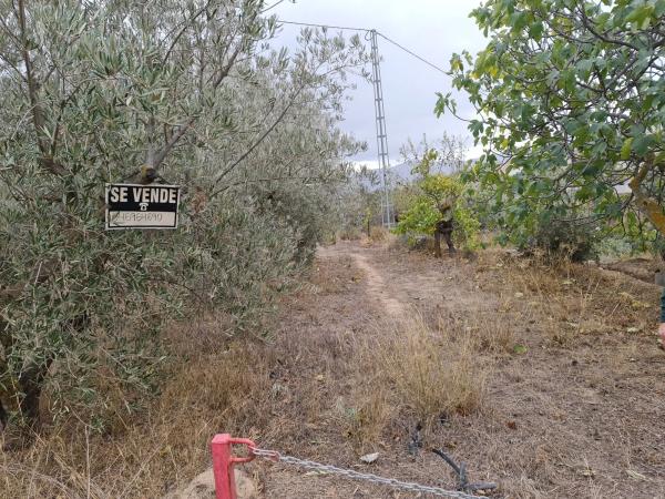 Terreno en Los Claveros s/n LosClaveros