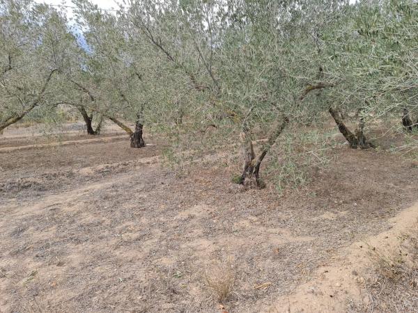 Terreno en Los Claveros s/n LosClaveros