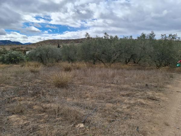 Terreno en Los Claveros s/n LosClaveros