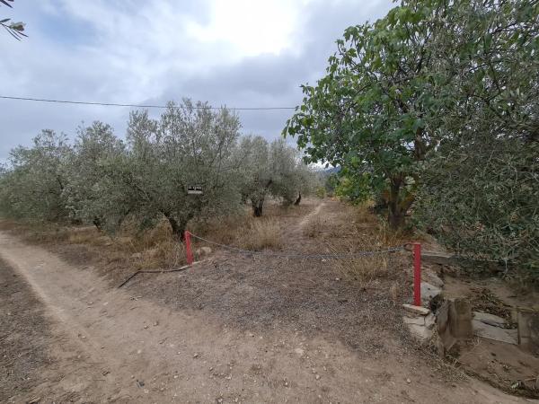 Terreno en Los Claveros s/n LosClaveros