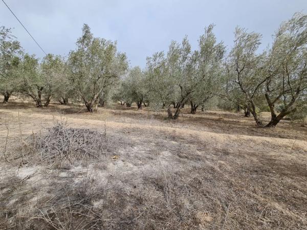 Terreno en Los Claveros s/n LosClaveros