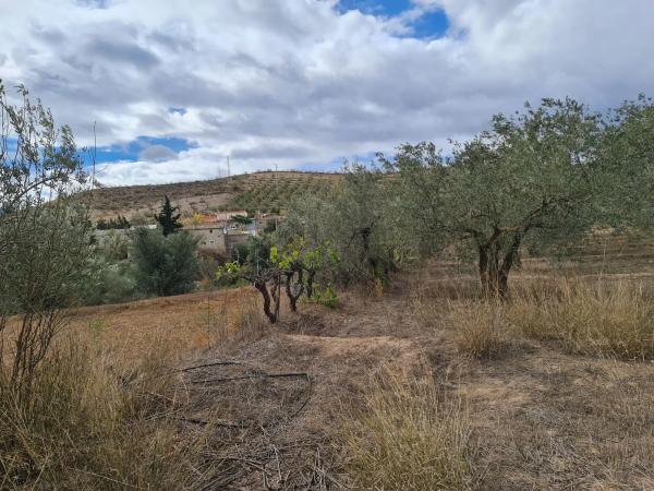 Terreno en Los Claveros s/n LosClaveros