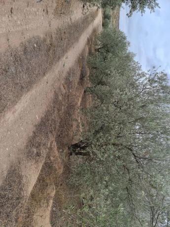 Terreno en Los Claveros s/n LosClaveros