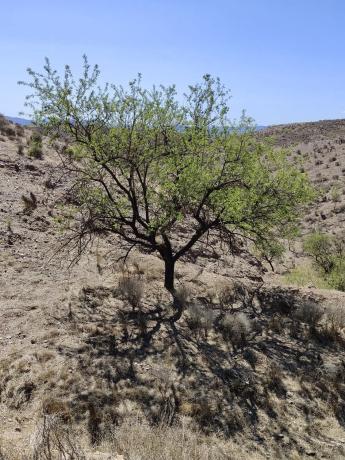 Terreno en Unnamed Road s/n