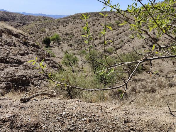 Terreno en Unnamed Road s/n