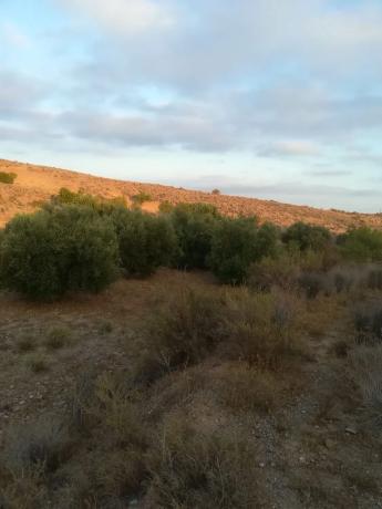 Terreno en carretera Al-7101 s/n