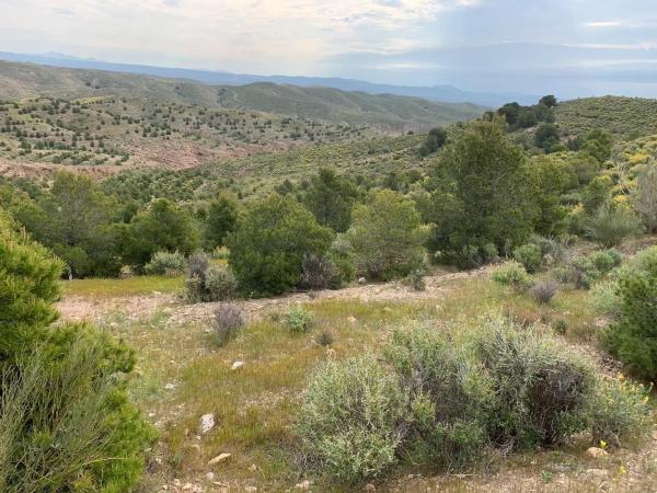 Terreno en camino castelllania de los cuchillas s/n