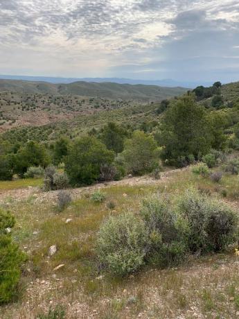 Terreno en camino castelllania de los cuchillas s/n