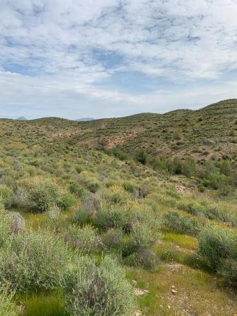 Terreno en camino castelllania de los cuchillas s/n