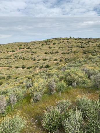 Terreno en camino castelllania de los cuchillas s/n