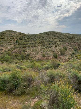 Terreno en camino castelllania de los cuchillas s/n