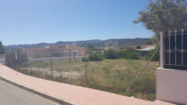 Terreno en calle Crisanteno, 5