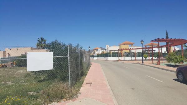 Terreno en calle Crisanteno, 5