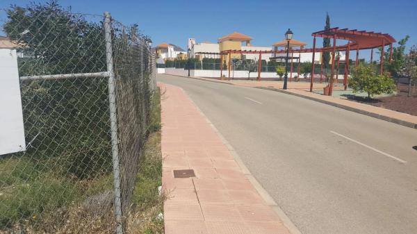 Terreno en calle Crisanteno, 5