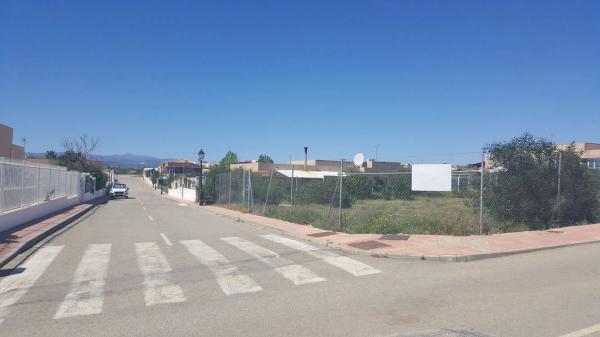 Terreno en calle Crisanteno, 5