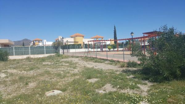 Terreno en calle Crisanteno, 5