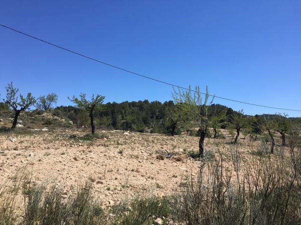 Terreno en El Campillo de Purchena s/n