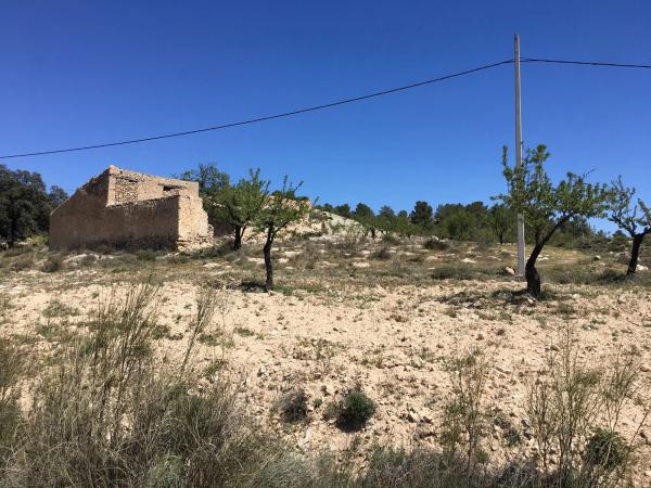Terreno en El Campillo de Purchena s/n