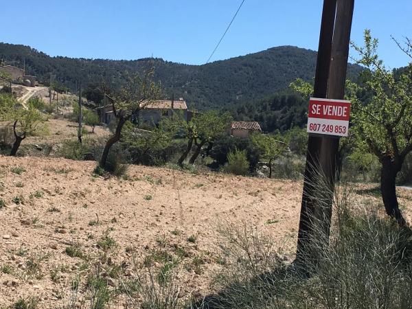 Terreno en El Campillo de Purchena s/n