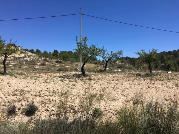 Terreno en El Campillo de Purchena s/n