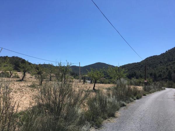 Terreno en El Campillo de Purchena s/n